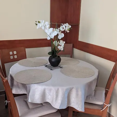 Amsterdam Apartamento *